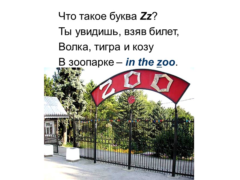 Что такое буква Zz? Ты увидишь, взяв билет, Волка, тигра и козу В зоопарке